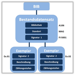 bd1.png